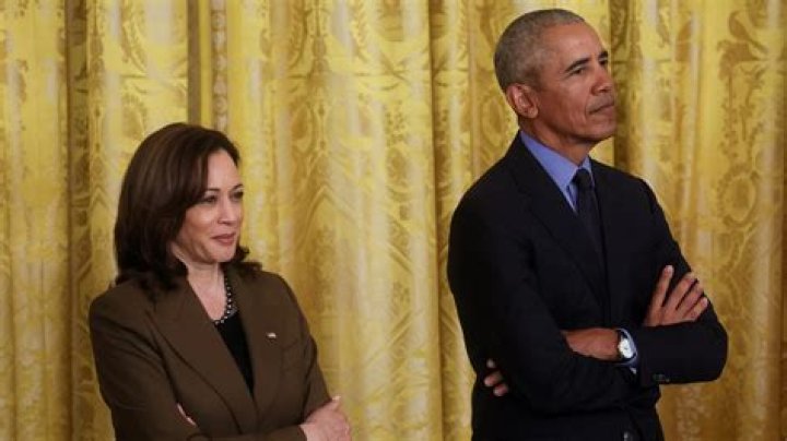 Does Denzel Washington Support Kamala Harris? The Inside Scoop You've Been Searching For
